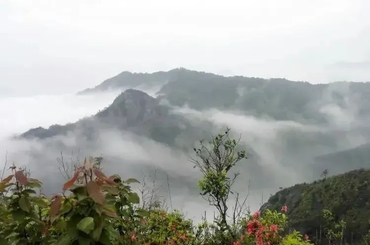 湖北豪门国际官网绿色能源有限公司