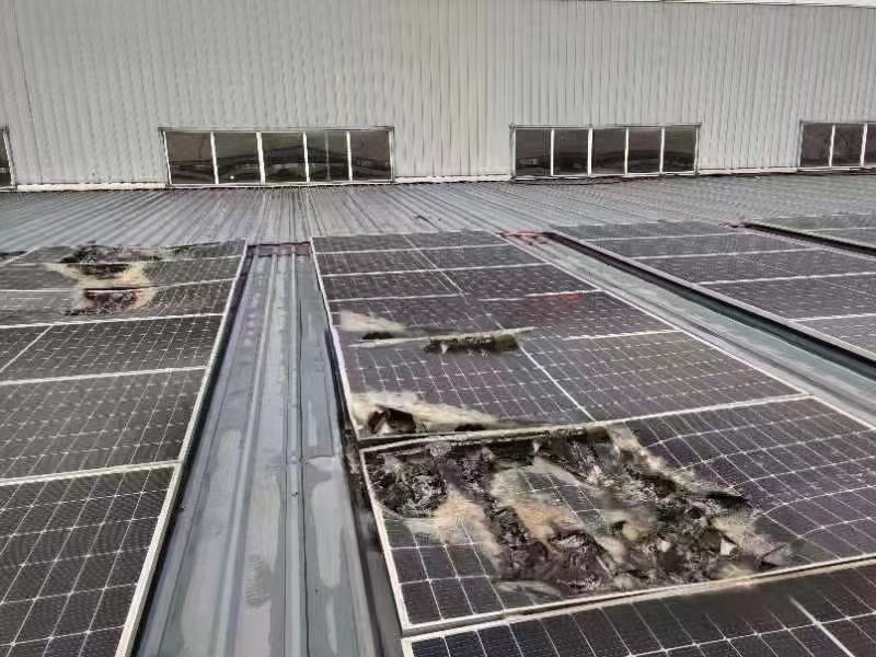 重磅提醒 ┃ 选装光伏，，，，请坚决拒绝低价诱惑！切记。。。。。∧肟釉俦惶茁罚。。。。。。。。。。